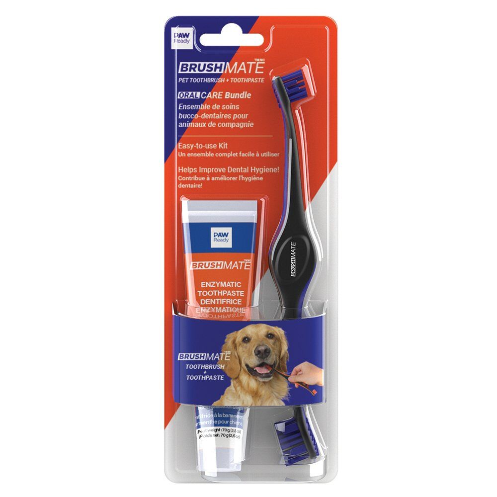 Paw Ready Oral Brushing Dental Kit