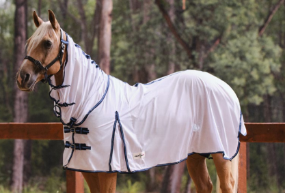 Eureka Airmesh Combo 6'0 - 7233