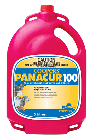 Intervet Panacur 100 1ltr