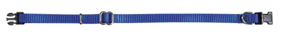 Puppy collar 23-36cm blue