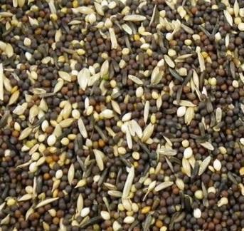 Avi Tonic Mix 5kg
