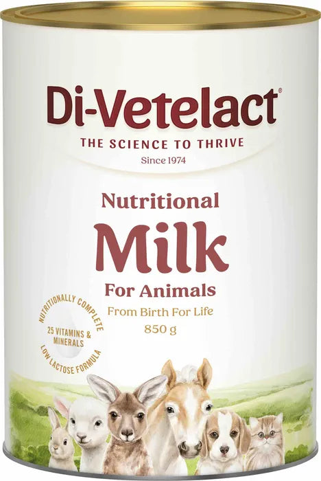 Divetelact Powder 850g