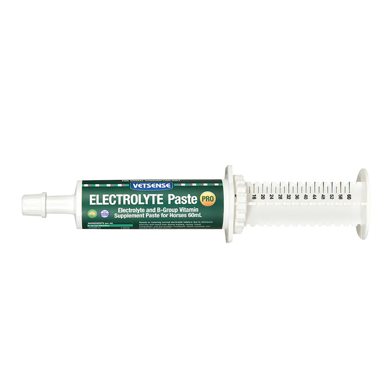 Electrolyte 2 Paste 60mL
