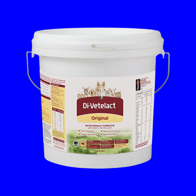 Divetelact Powder 5kg