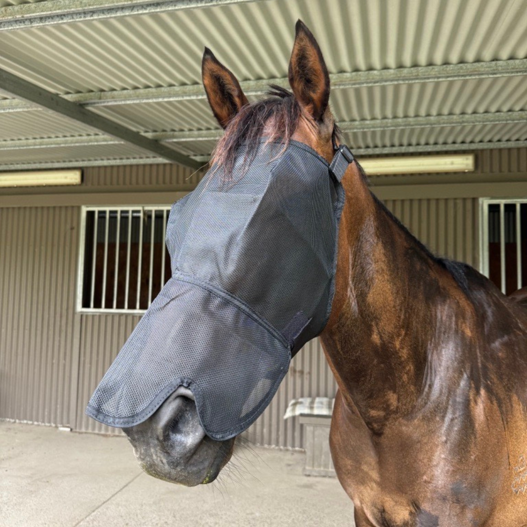 Eureka everyday fly mask with nose COB 31770