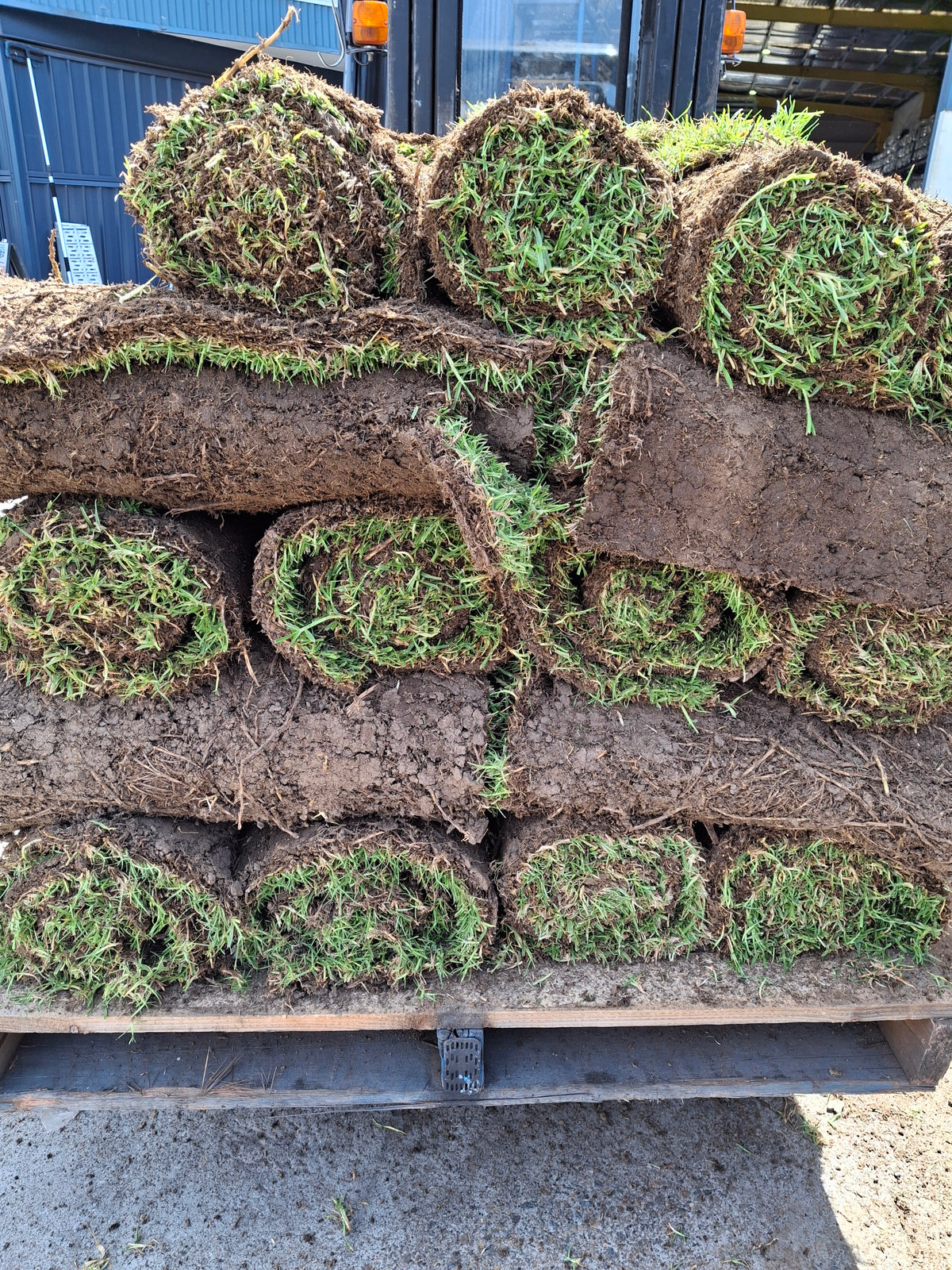 Kikuyu rolls