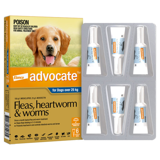 Advocate - XLarge Dog Over 25 6 Pack