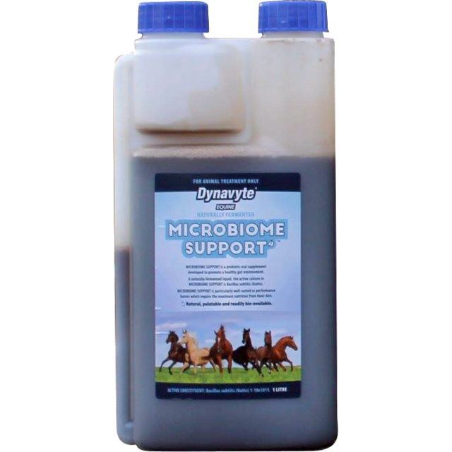 DYNAVYTE V EQUINE Microbiome support 1LT