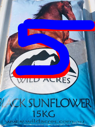 Black Sunflower Seeds 5kgs