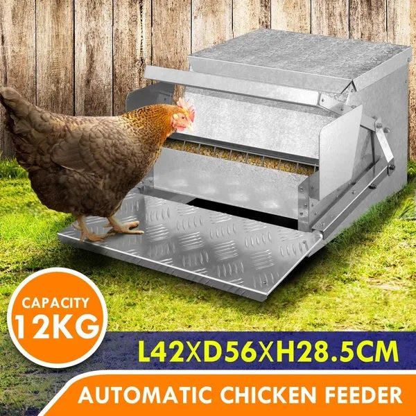 AUTO CHICKEN FEEDER 12KG