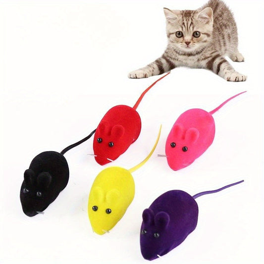 Cat Toys