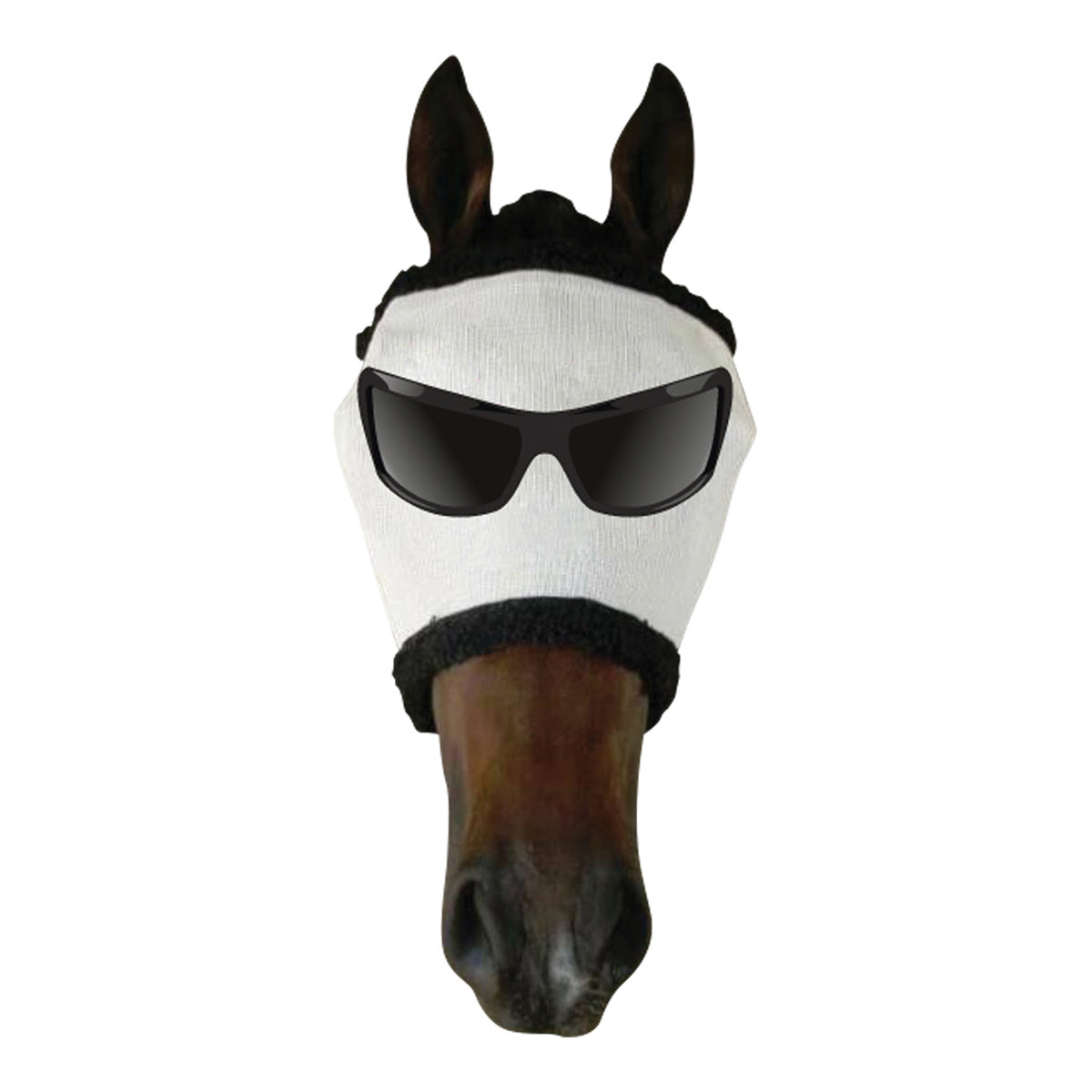 Showcraft Funny Fly Mask mixed sizes