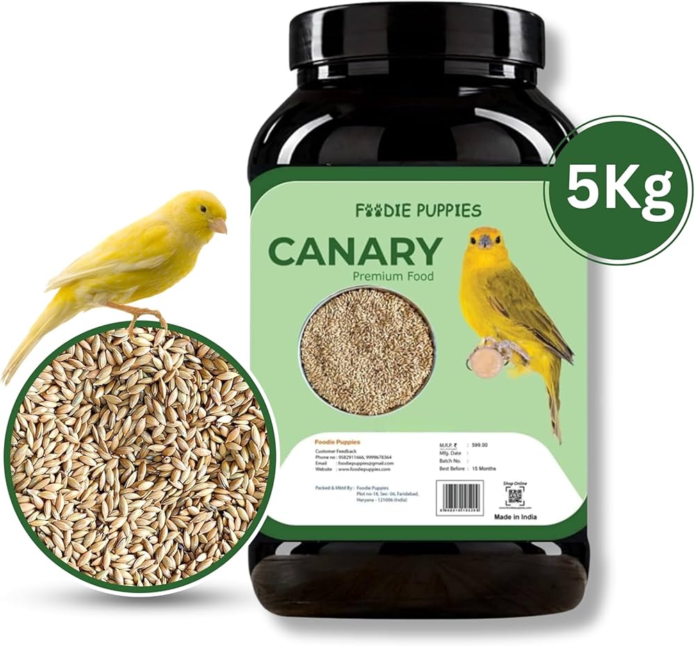 Plain Canary 5kg