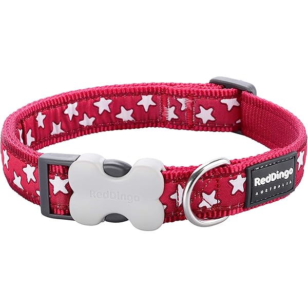 Red Dingo Reflective Dog Collar 20mmx31-47cm RED