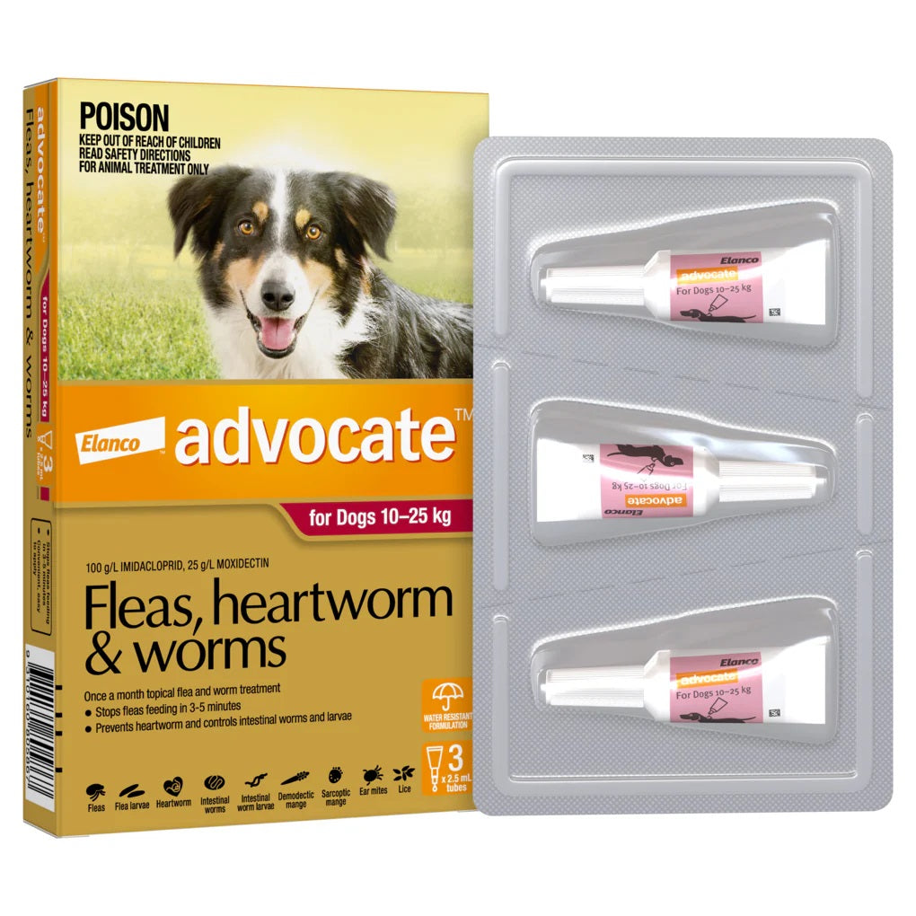 Advocate - Large Dog 10-25kg 3 Pack