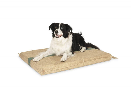 Foam Bed Jumbo