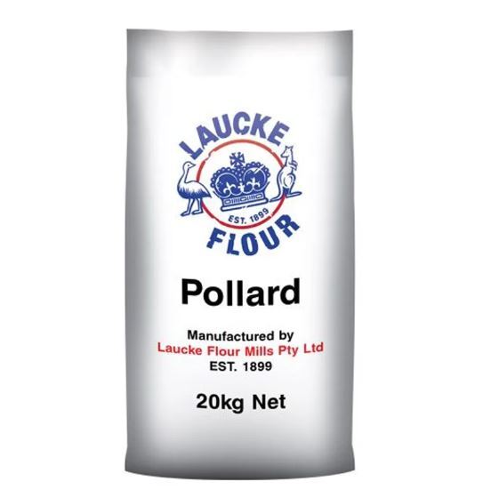 Laucke Pollard