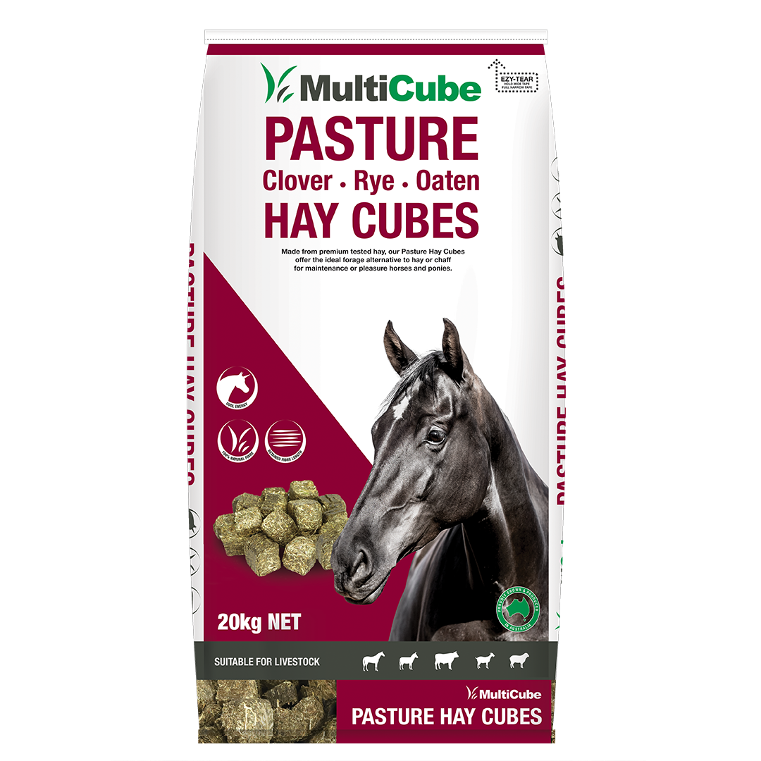 Multicube PASTURE cubes 20KG