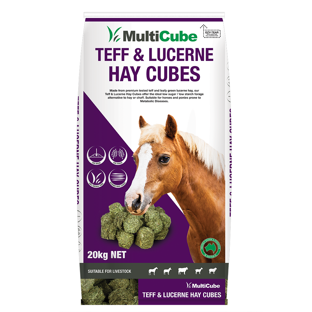 Multicube TEFF cubes 20KG