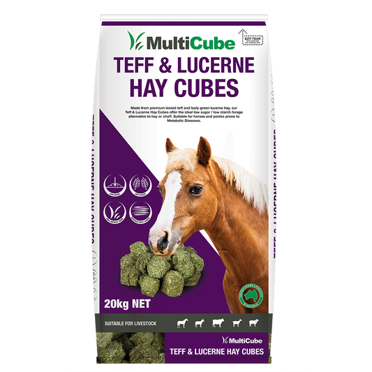 Multicube TEFF cubes 20KG