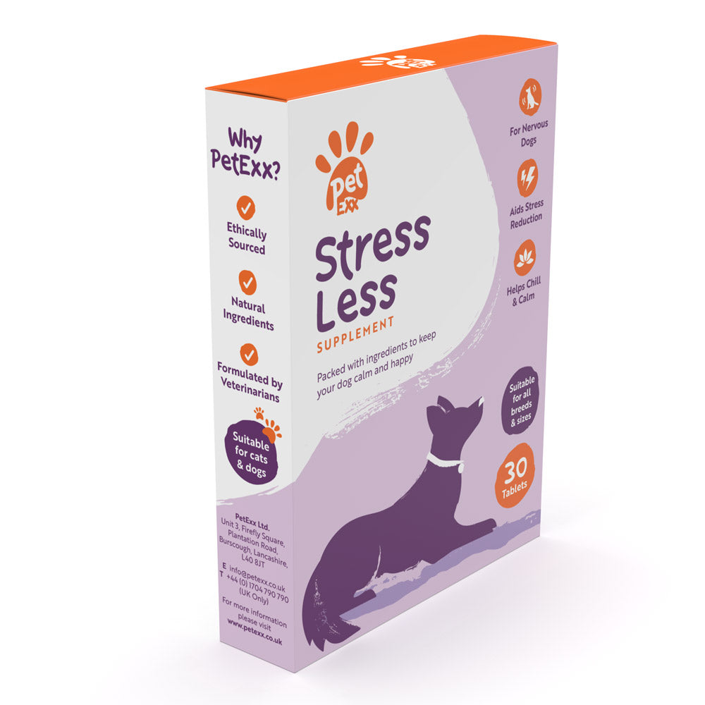 Stress Less for Dogs