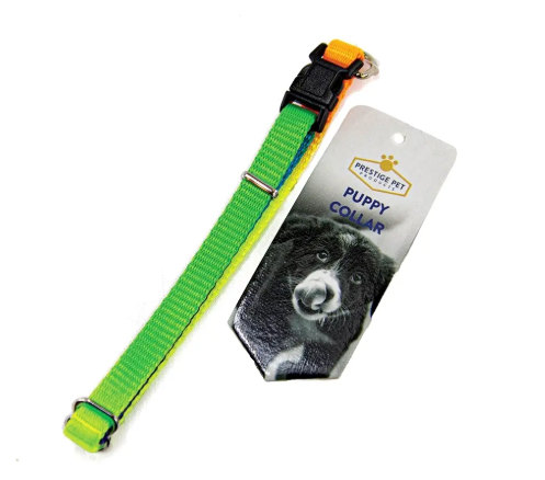Prestige 3/8" Adjustable puppy collar Rainbow 23-36cm