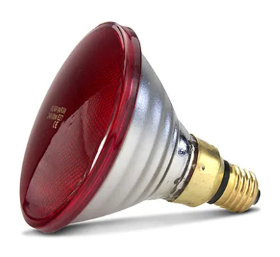 Heat Lamp Infrared RED 240V 50W