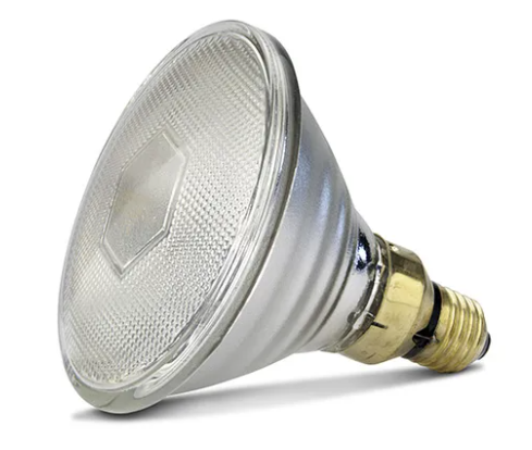 Infrared globe CLEAR 50w