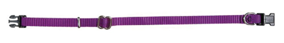 Puppy collar 23-36cm purple