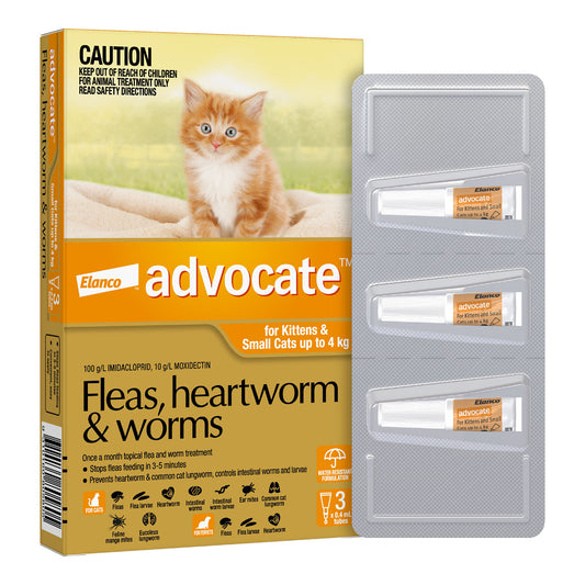 Advocate - Cat Small Orange 0-4kg 3 Pack