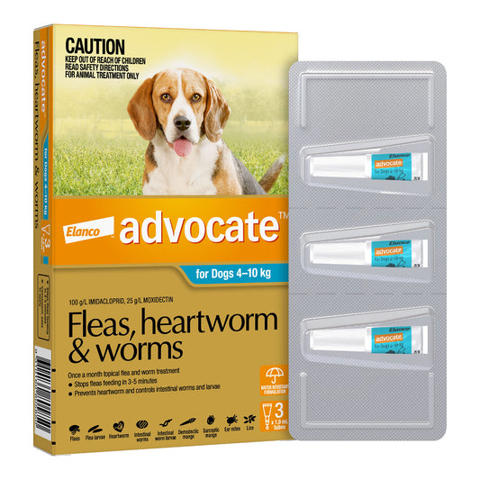 Advocate - Medium Dog 4-10kg 3 Pack