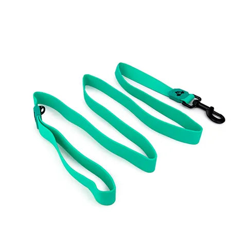 DOGLEASH WATERPROOF 2.5CM X 150CM - GREEN A7276-G