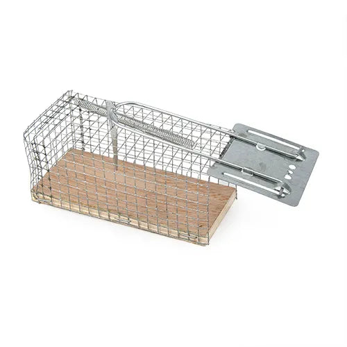 Trap mouse CAGE 11.5cm