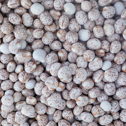 Avigrain Whole Lupins 20kg