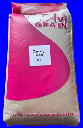 Plain Canary 5kg