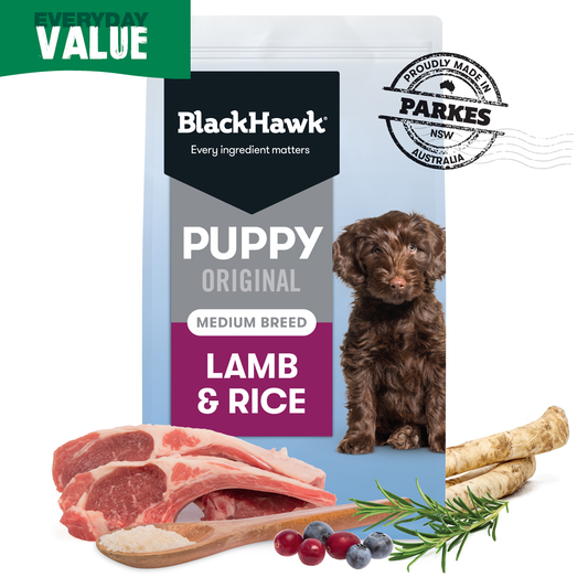 BlackHawk - Puppy Lamb and Rice 20kg