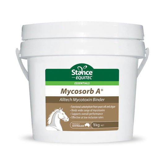 STANCE Mycosorb A + 1kg