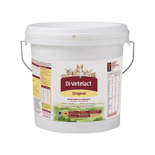 Divetelact Powder 5kg