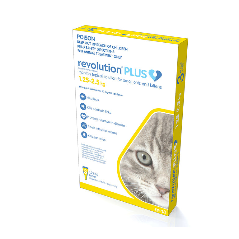 revolution kitten 1.25 - 2.5 3 Pack YELLOW