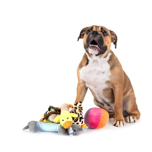 Dog Toys