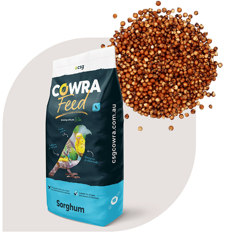 Sorghum 1kg