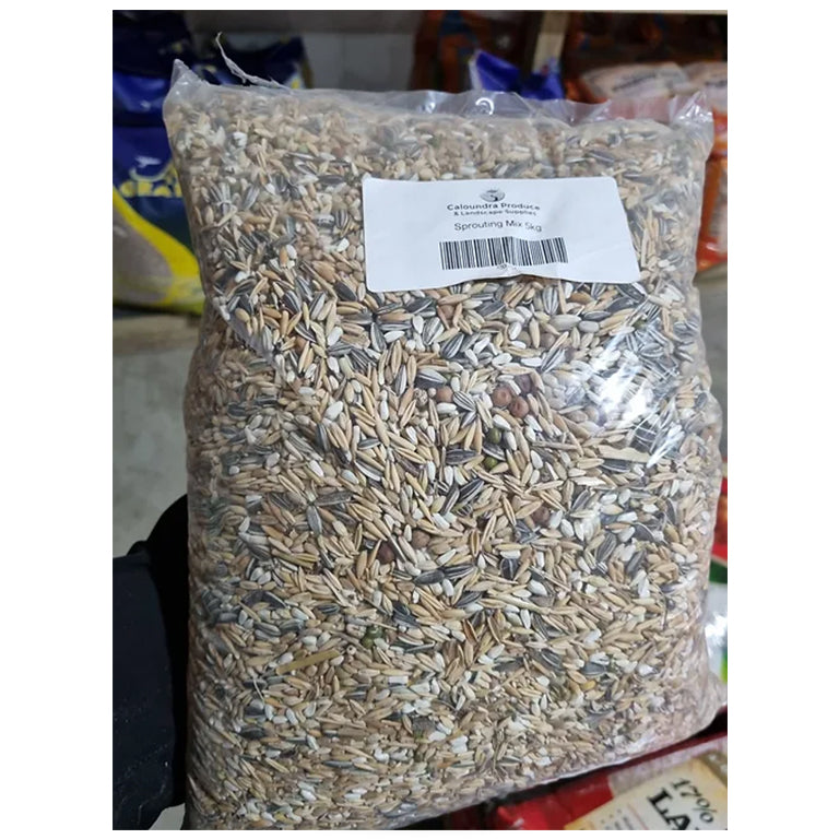 Sprout Mix 5Kg