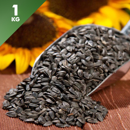 Black Sunflower Seeds 1kg