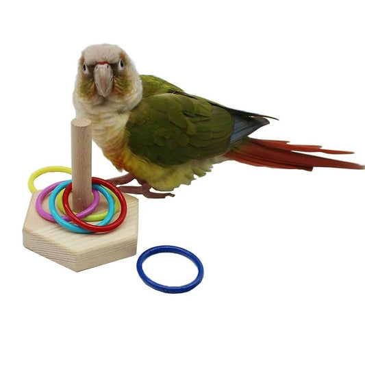 Bird Toys