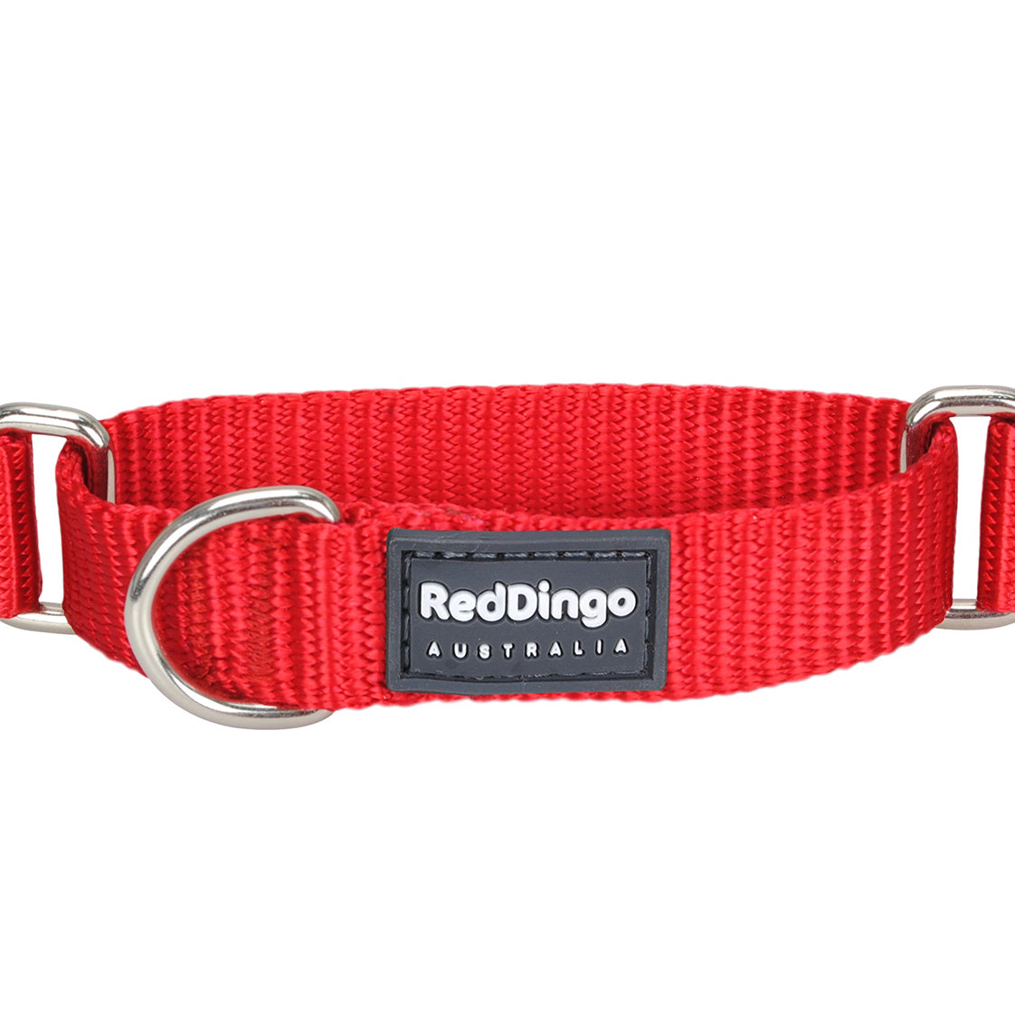 Red Dingo Reflective Dog Collar 15mmx24-36cm